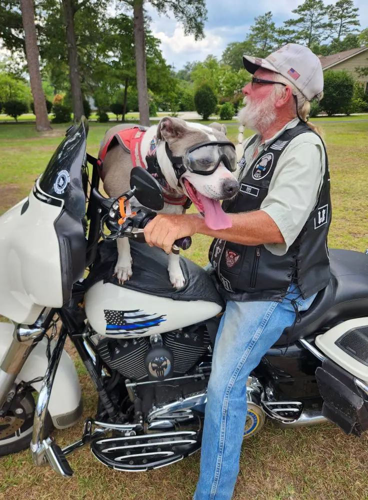 The Biker They Called A Killer Saved 20 Dogs From A Burning Shelter